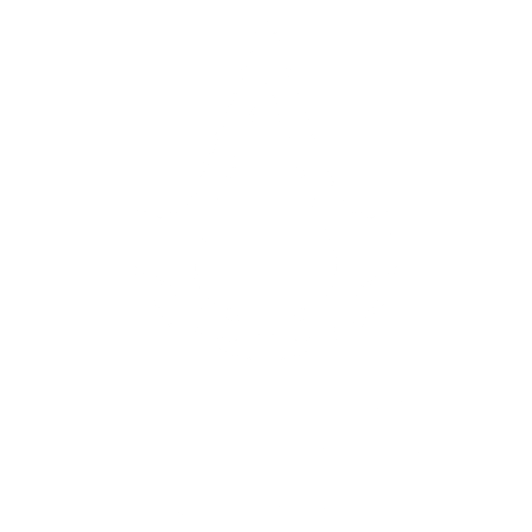 Echoes of Revolution